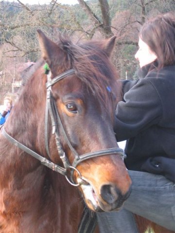 Hubertus 2007